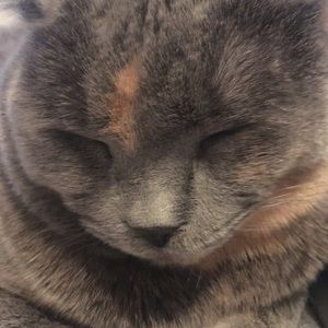 Meet your Posher, Mitchell